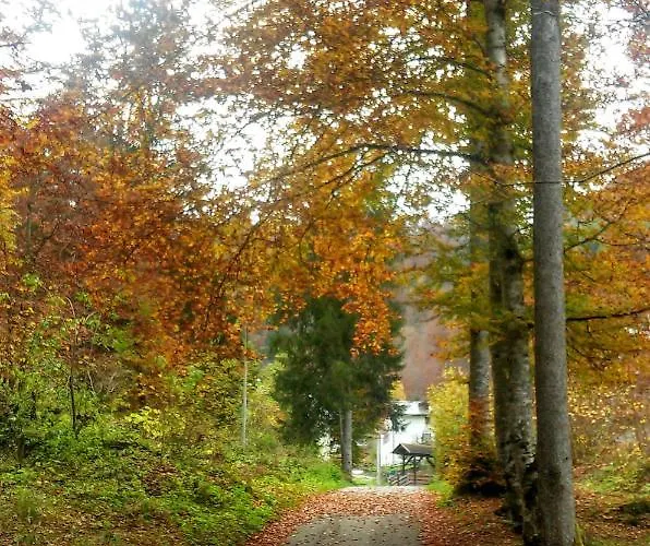 Dolomiti Colcerver